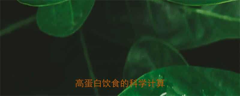 100克牛肉热量是多少高蛋白饮食的科学计算公式-第1张图片-ZBLOG