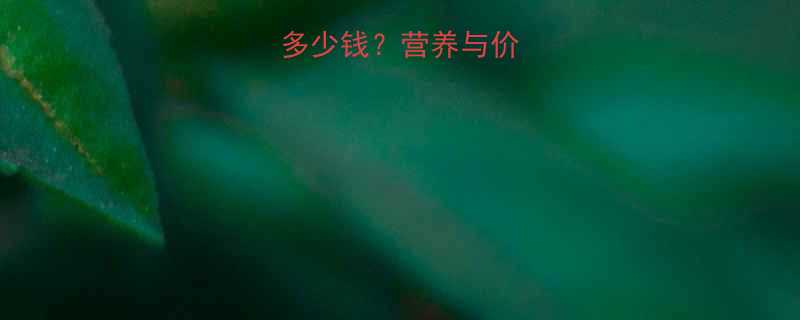 鸡蛋热量多少钱营养与价格的黄金平衡点-第2张图片-ZBLOG