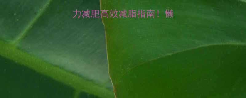 💥运动减肥vs脑力减肥高效减脂指南！懒人必看科学选择法✨-第1张图片-ZBLOG