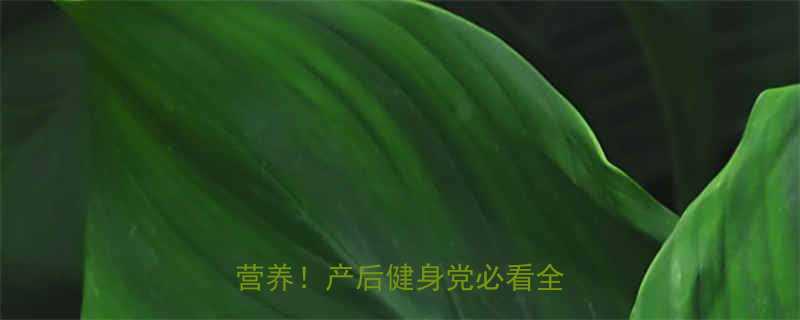 伊利女士奶粉热量低卡高营养产后健身党必看全攻略-第1张图片-ZBLOG