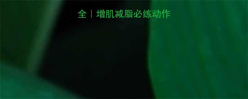 健身房无氧运动全增肌减脂必练动作指南附动作图解-第1张图片-ZBLOG