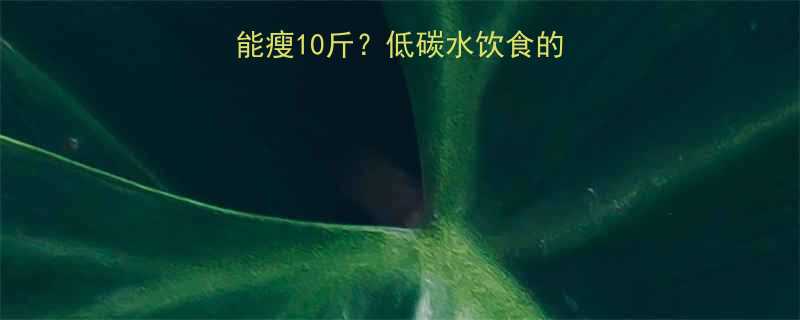 28天不碰主食也能瘦10斤低碳水饮食的底层逻辑和实操指南-第1张图片-ZBLOG