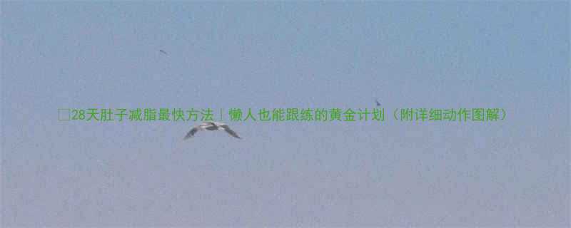 28天肚子减脂最快方法懒人也能跟练的黄金计划附详细动作图解-第2张图片-ZBLOG