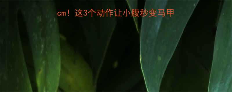 30天腰围暴瘦10cm这3个动作让小腹秒变马甲线附私教级训练计划-第2张图片-ZBLOG