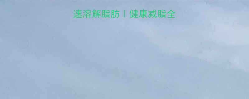 5个科学方法快速溶解脂肪健康减脂全攻略附实操步骤-第3张图片-ZBLOG