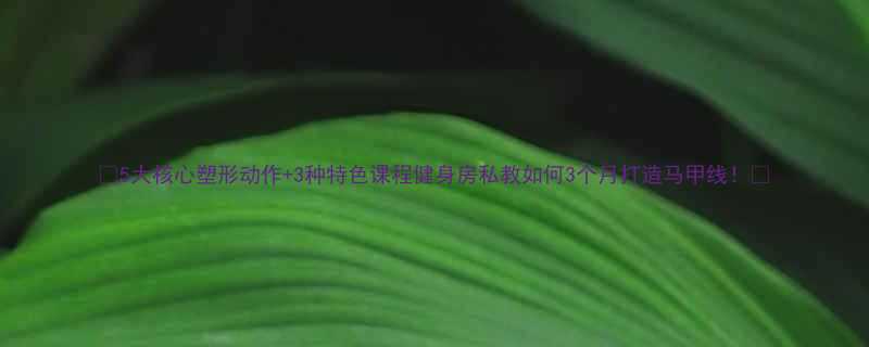 5大核心塑形动作3种特色课程健身房私教如何3个月打造马甲线-第1张图片-ZBLOG