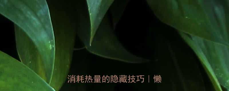 不运动也能瘦5个躺着也能消耗热量的隐藏技巧懒人必看-第1张图片-ZBLOG