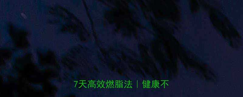 两周甩肉10斤亲测有效的7天高效燃脂法健康不反弹-第2张图片-ZBLOG
