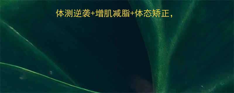 中学生健身全攻略体测逆袭增肌减脂体态矫正3个月打造型男型女身材-第1张图片-ZBLOG