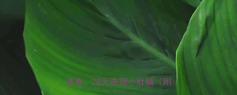 5步瘦胃法+饮食清单，28天告别小肚腩（附食谱）🔥-第2张图片-ZBLOG