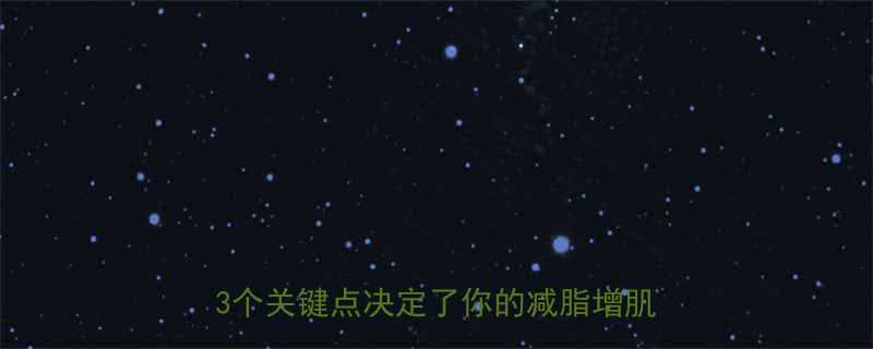 健身中午练vs晚上练效果翻倍这3个关键点决定了你的减脂增肌效率-第3张图片-ZBLOG