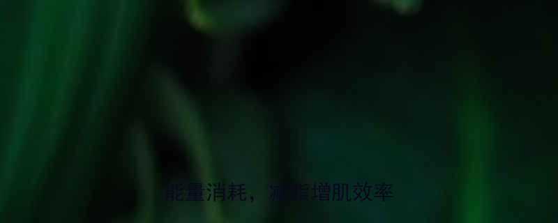 健身党必看科学计算每日能量消耗减脂增肌效率翻倍-第1张图片-ZBLOG