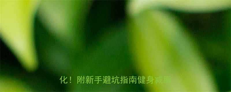 🔥健身减重时间表｜3个月见证腰围变化！附新手避坑指南健身减脂健康生活-第2张图片-ZBLOG