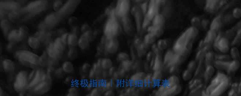 减肥必看热量与卡路里的终极指南附详细计算表食谱-第3张图片-ZBLOG