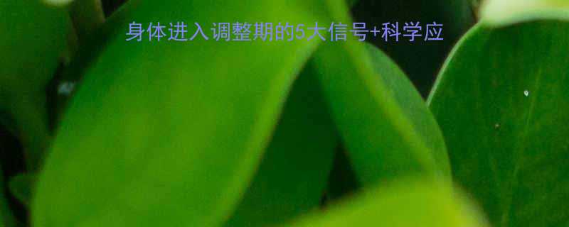 🔥减脂平台期自救指南｜身体进入调整期的5大信号+科学应对法（附食谱+运动计划）-第2张图片-ZBLOG