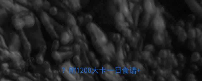 减脂期必看这样吃热量才控得住附1200大卡一日食谱避坑指南-第2张图片-ZBLOG