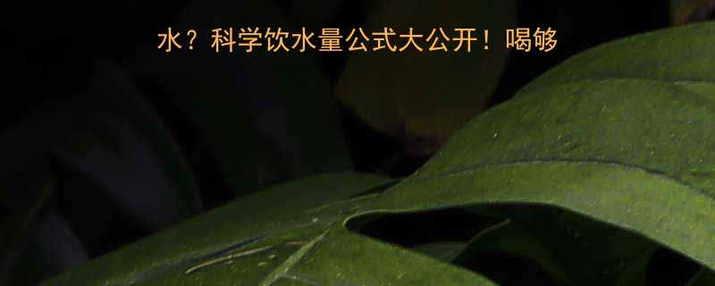 减脂期每天喝够8杯水科学饮水量公式大公开喝够这个数小蛮腰轻松拿捏-第1张图片-ZBLOG