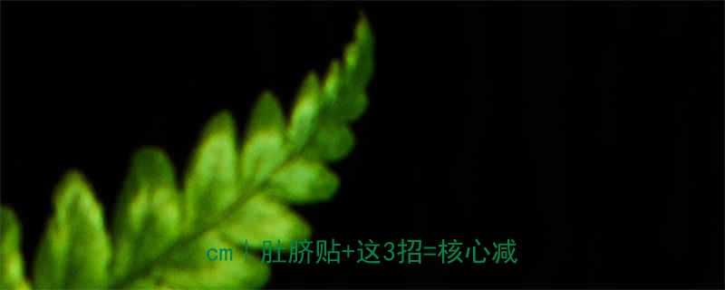 🔥啤酒肚救星！28天见证腰围缩14cm｜肚脐贴+这3招=核心减脂攻略🔥-第1张图片-ZBLOG