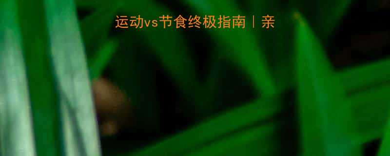 🔥基数大减肥难？运动vs节食终极指南｜亲测有效的科学方案🔥-第1张图片-ZBLOG