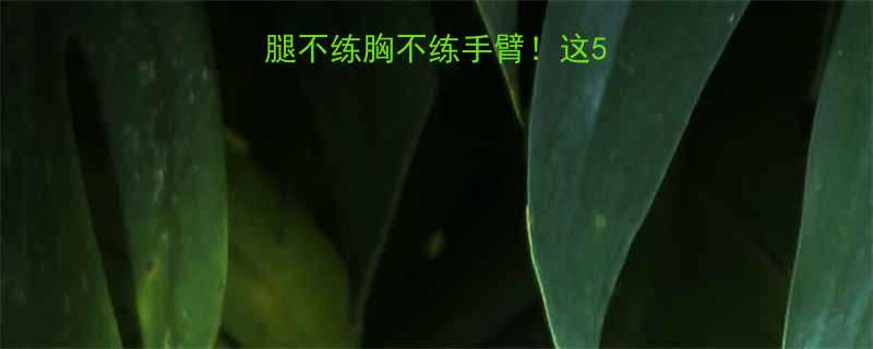 女生必备不练腿不练胸不练手臂这5类运动零增肌效果-第1张图片-ZBLOG