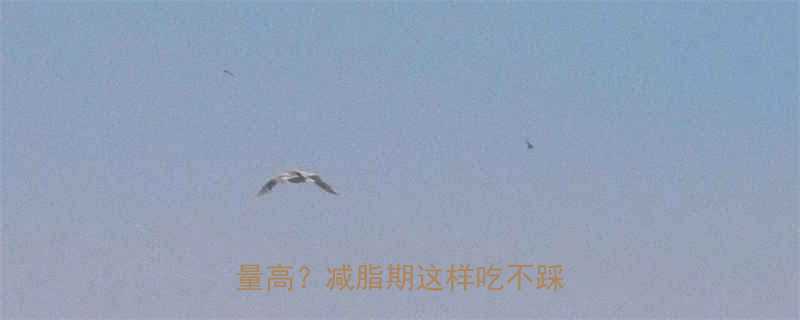 女生必看馒头vs蔬菜谁热量高减脂期这样吃不踩坑-第3张图片-ZBLOG