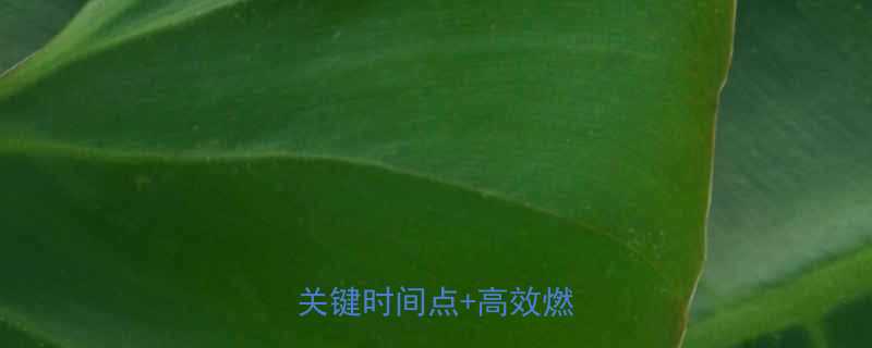 女生运动多久见效3个关键时间点高效燃脂指南-第2张图片-ZBLOG