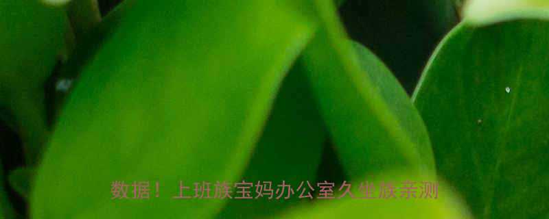 导语每天30分钟快走跑步2小时实测数据上班族宝妈办公室久坐族亲测有效-第1张图片-ZBLOG