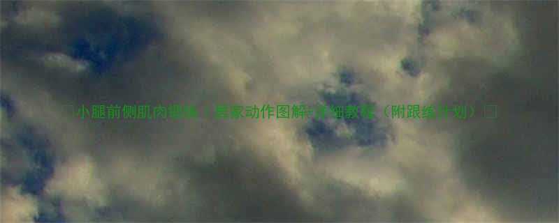 🔥小腿前侧肌肉锻炼｜居家动作图解+详细教程（附跟练计划）✨-第1张图片-ZBLOG