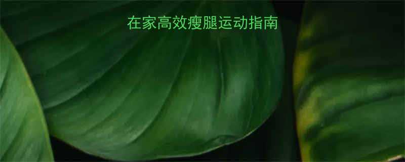 必练女生在家高效瘦腿运动指南附跟练视频-第1张图片-ZBLOG