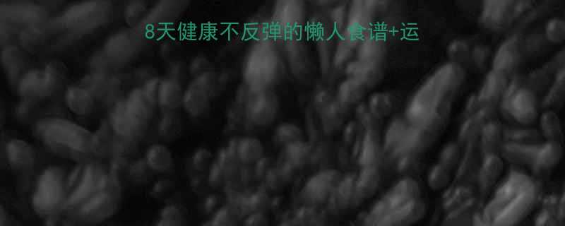 快速减重12斤28天健康不反弹的懒人食谱运动计划附每日执行表-第1张图片-ZBLOG