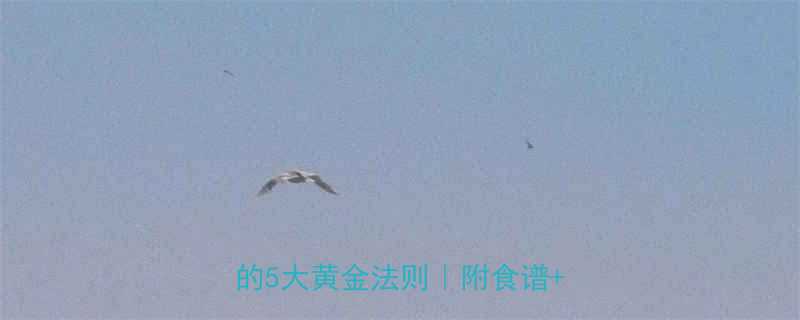 最全科学减肥法30天不反弹的5大黄金法则附食谱运动计划-第2张图片-ZBLOG