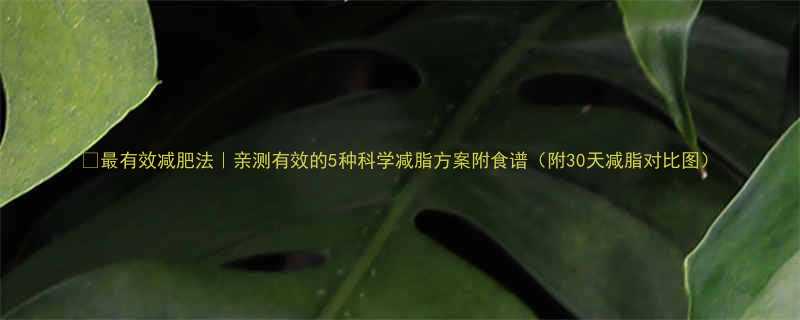 最有效减肥法亲测有效的5种科学减脂方案附食谱附30天减脂对比图-第3张图片-ZBLOG