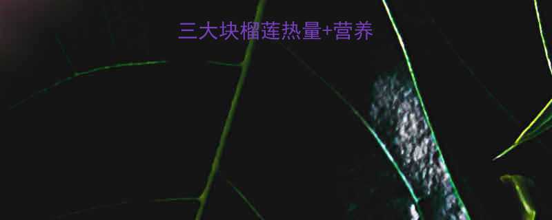 🔥榴莲控必看！三大块榴莲热量+营养师减肥食用指南💥-第1张图片-ZBLOG