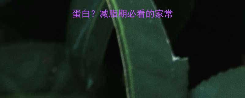 炒青菜低脂高蛋白减脂期必看的家常菜热量脂肪全-第1张图片-ZBLOG