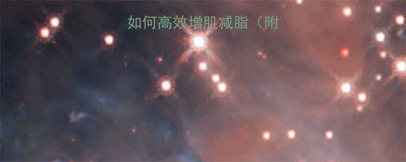 瘦子健身必看如何高效增肌减脂附饮食训练计划-第1张图片-ZBLOG