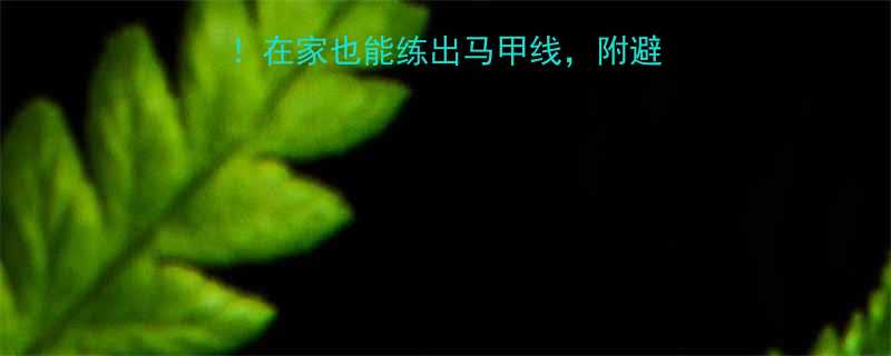 私教同款器械大公开在家也能练出马甲线附避坑指南平价替代方案-第1张图片-ZBLOG