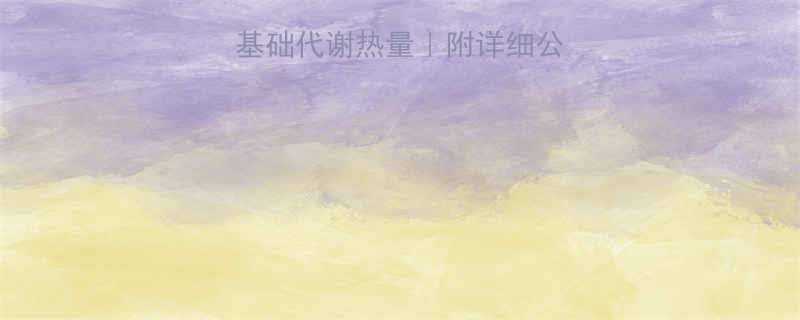 精准计算你的基础代谢热量附详细公式每日参考值-第1张图片-ZBLOG