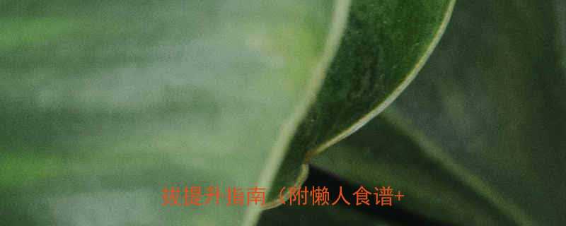 胸部塑形全攻略科学瘦胸挺拔提升指南附懒人食谱运动-第1张图片-ZBLOG