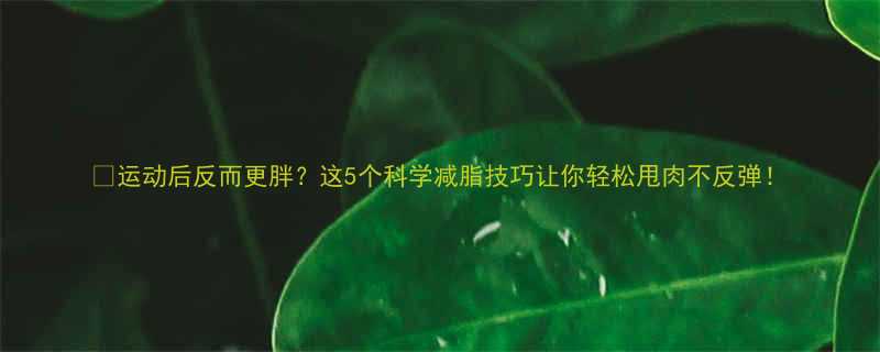 运动后反而更胖这5个科学减脂技巧让你轻松甩肉不反弹-第1张图片-ZBLOG