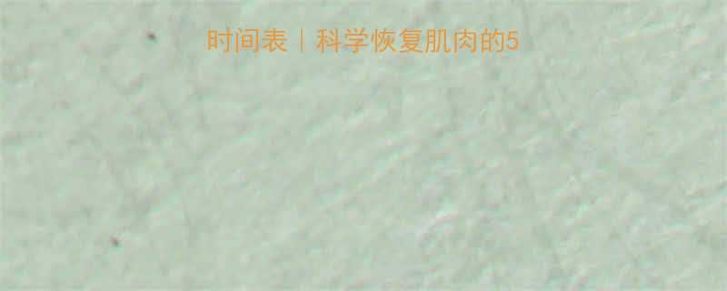 运动后黄金拉伸时间表科学恢复肌肉的5大关键期和避坑指南-第3张图片-ZBLOG