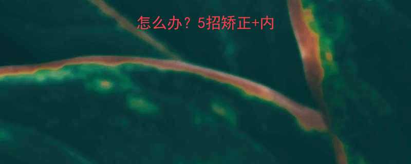 运动时胸部晃动怎么办5招矫正内衣推荐女生必看-第1张图片-ZBLOG