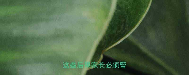 -第3张图片-ZBLOG