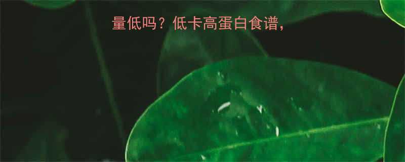 韭菜粉丝盒子热量低吗低卡高蛋白食谱5分钟搞定健身餐-第1张图片-ZBLOG