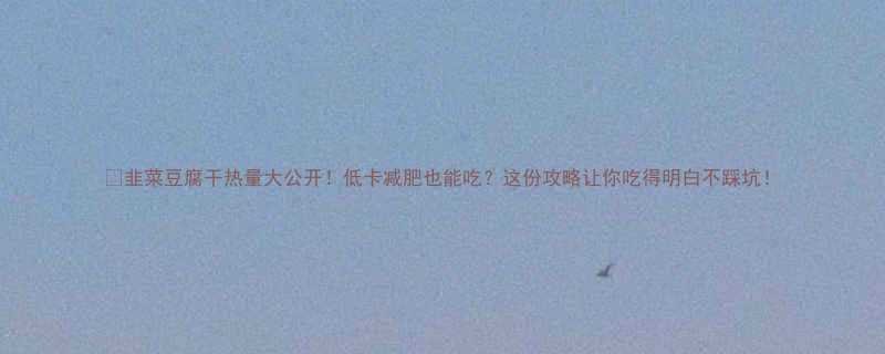 韭菜豆腐干热量大公开低卡减肥也能吃这份攻略让你吃得明白不踩坑-第2张图片-ZBLOG