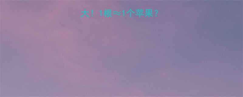 香酥红薯条热量大1根1个苹果低卡零食真相来了-第1张图片-ZBLOG