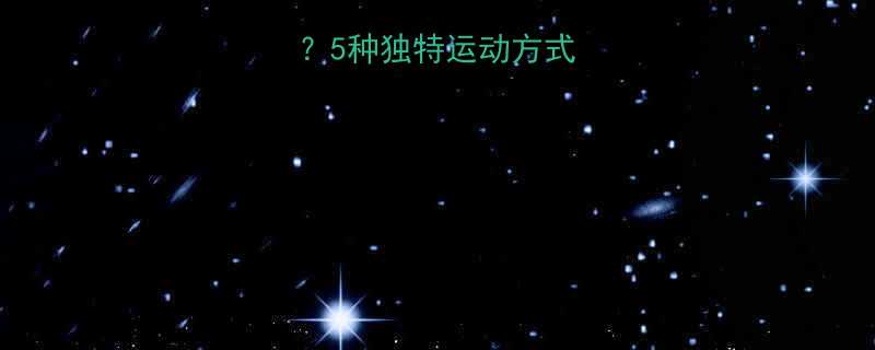 鲨鱼如何游动5种独特运动方式冷知识大公开-第2张图片-ZBLOG