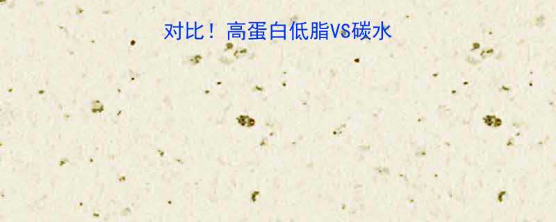 🔥龙虾VS米饭热量对比！高蛋白低脂VS碳水炸弹？这样吃更健康🍚-第2张图片-ZBLOG