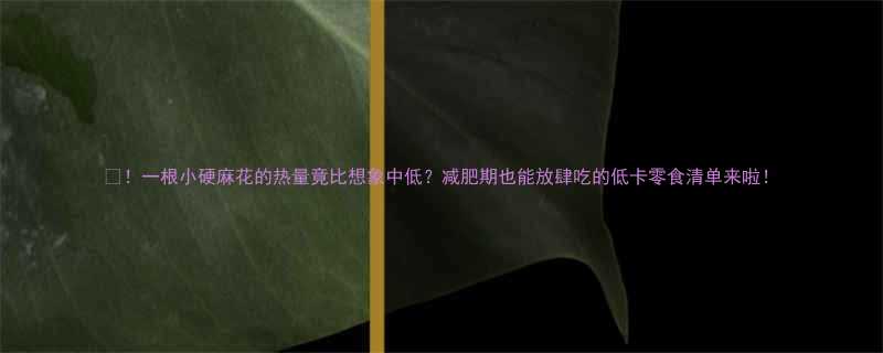 一根小硬麻花的热量竟比想象中低减肥期也能放肆吃的低卡零食清单来啦-第2张图片-ZBLOG