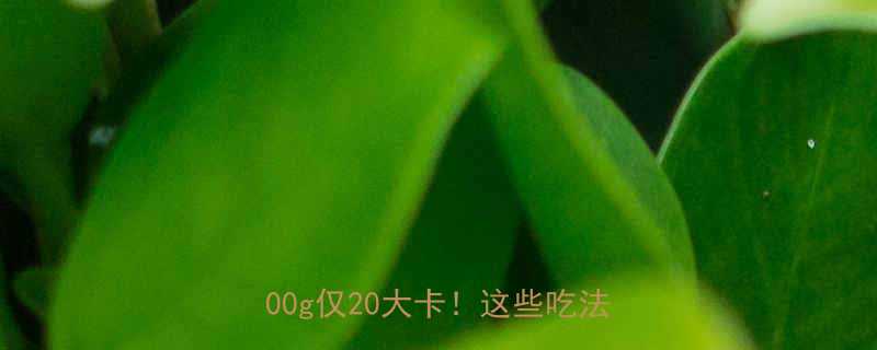 萝卜热量真相低卡饮食必看每100g仅20大卡这些吃法营养翻倍-第1张图片-ZBLOG